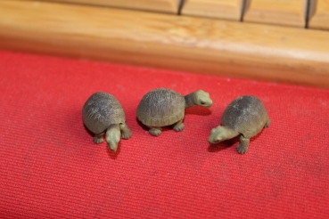 Mini Glücksschildkröten Safari Bullyland Figuren - 1 Stück