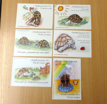 Sammelpostkarten Set mit 6 Stück Schildkröten Weisheiten