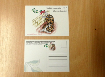 Sammelpostkarte Schildkrötenweisheit Nr. 1
