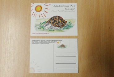 Sammelpostkarte Schildkrötenweisheit Nr. 2