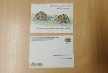Sammelpostkarte Schildkrötenweisheit Nr. 3