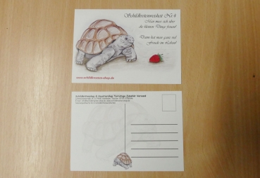 Sammelpostkarte Schildkrötenweisheit Nr. 4