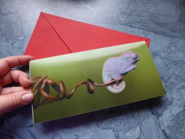 Missing You - Klappgrußkarte mit Umschlag Chameleon auf Zweig 3D