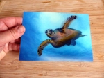 Hawksbill Sea Turtle - Gruppe B - Echte Karettschildkröte Postkarte 3D