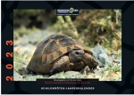 Schildkröten-Kalender 2023  Sonderpreis