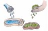 Wasser- & Futterschalen