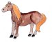 Gutes für's Pferd