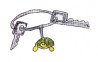 Schildkröten