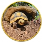 Preview: Hobby Mojave Cave XL Höhle für Terrarien (Art.-Nr.:36249)