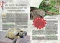 Preview: MARGINATA KIDS 3 - Freilandterrarien für Landschildkröten