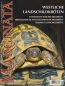 Preview: Marginata 14 - Westliche Landschildkröten