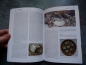 Preview: Schildkrötenbibliothek 2 - Griechische Landschildkröte