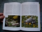 Preview: Schildkrötenbibliothek 2 - Griechische Landschildkröte