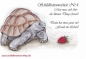 Preview: Sammelpostkarte Schildkrötenweisheit Nr. 4