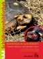 Preview: Schildkrötenbibliothek 3 - Südamerikanische Landschildkröten