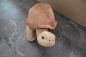 Preview: TORTOISE 30cm hellbraun/braun