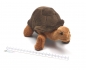 Preview: Stofftier Galapagos-Schildkröten Baby "Tara" braun