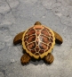 Preview: Holz Dekorations Schildkröte (braun)