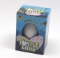 Preview: TURTLE EGG - Growing Turtle