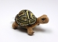 Preview: Schildkröte "Henrietta" DSDMT 18cm