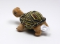 Preview: Schildkröte "Henrietta" DSDMT 18cm