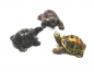 Preview: Schildkrötenfigur "Indra" Landschildkröte