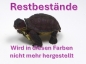 Preview: Kunststoff-Figur Galapagos-Schildkröte  "Rocky"
