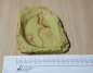 Preview: Turtle Dish Sandstein Größe ca. 17x15x2 cm LuckyReptil