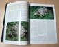 Preview: Draco 8 - Tropische Landschildkröten