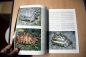 Preview: Draco 8 - Tropische Landschildkröten