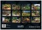 Preview: Schildkröten-Kalender 2023  Sonderpreis