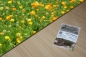 Preview: Garten-Ringelblume 2g  (Calendula officinalis)