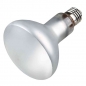 Preview: ProSun Mixed D3, UV-B Lampe 100W (Trixie)