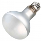 Preview: ProSun Mixed D3, UV-B Lampe 70W (Trixie)