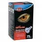 Preview: Neodymium Wärme Spot-Lampe 75W (Trixie)