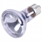 Preview: Neodymium Wärme Spot-Lampe 75W (Trixie)