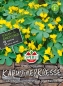 Preview: Kapuzinerkresse SPERLI's Goldranke - Tropaeolum majus L.