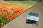 Preview: Klatschmohn 2g  (Papaver rhoeas)