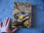Preview: Vorbild Natur, Europäische Schildkröten,  Lebensraum und -weise, Wolfgang Wegehaupt