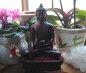 Preview: Buddha Shakyamuni rot 24cm
