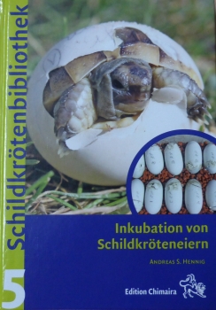 Inkubation von Schildkröteneiern Schildkrötenbibliothek 5