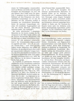 Preview: Die Breitrandschildkröte (Testudo marginata) Manfred Rogner