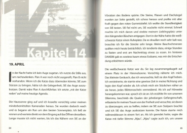 Preview: Buchstaben Tiere. Ein Schildkröten Krimi von Rita Klein