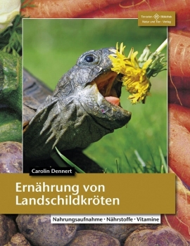 Ernährung von Landschildkröten Carolin Dennert