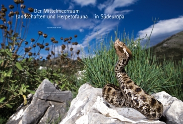 Preview: DRACO 42 - Mittelmeer - Reptilien und Amphibien Südeuropas