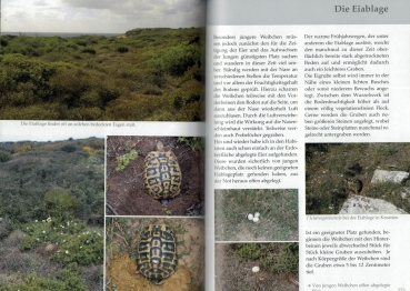 Preview: Vorbild Natur, Europäische Schildkröten,  Lebensraum und -weise, Wolfgang Wegehaupt