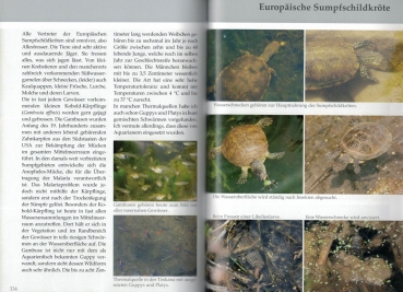 Vorbild Natur, Europäische Schildkröten,  Lebensraum und -weise, Wolfgang Wegehaupt