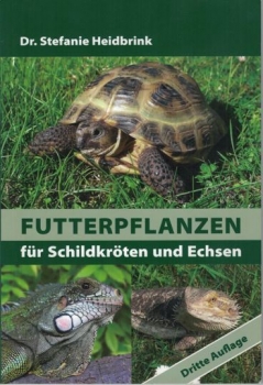 Futterpflanzen für Schildkröten und Echsen