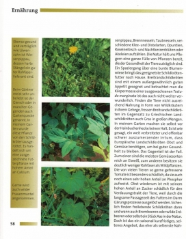 Preview: Ihr Hobby Breitrandschildkröten (Georg Mirlach)