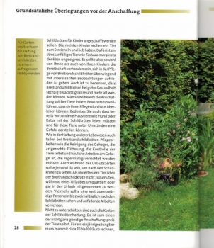 Ihr Hobby Breitrandschildkröten (Georg Mirlach)